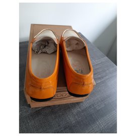 Tod's-Flats-Orange