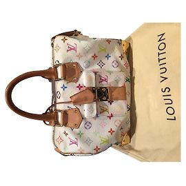 Louis Vuitton Multicolor Speedy White Multicor