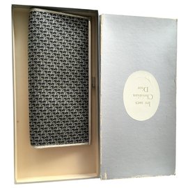 Christian Dior-pocket exclusively created for an evening and personalized-Silvery