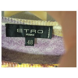 Etro-KLEINE SEIDE UND KASCHMERSWEITER-Mehrfarben