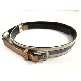 Coach-Coach Belt-Multiple colors