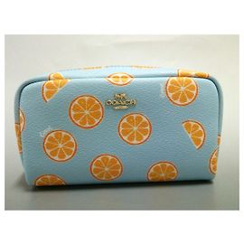 Coach Cosmetic case Light blue