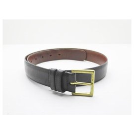 Coach Belt Black