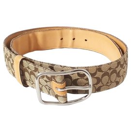 Coach Belt Brown