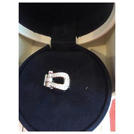 Fred Forza 10, Grande modello Argento