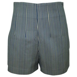 Fendi-Blue and Brown Striped Shorts -Blue