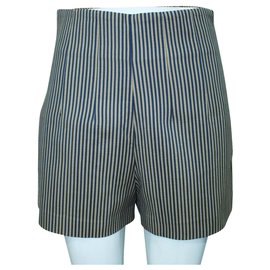Fendi-Blue and Brown Striped Shorts -Blue