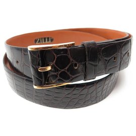 Zilli-RARE ZILLI T BELT 105 CROCODILE LEATHER GOLDEN BUCKLE ALLIGATOR BELT-Brown