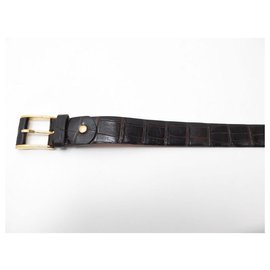 Zilli-RARE ZILLI T BELT 105 CROCODILE LEATHER GOLDEN BUCKLE ALLIGATOR BELT-Brown