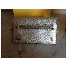 Fendi-Companion-Silvery