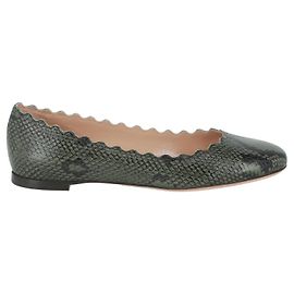 Chloé Lauren Leder Ballerinas Grün