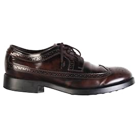 Tod's-Wing Tip Lace-up Oxford-Brown