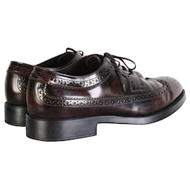 Tod's-Wing Tip Lace-up Oxford-Brown