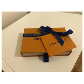 Louis Vuitton-SELTENE LOUIS VUITTON CLOUD POCKET ORGANIZER - M69679-Blau