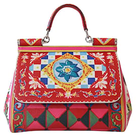 Dolce & Gabbana Bolsas Multicor