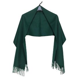 Lenço Valentino Garavani Verde