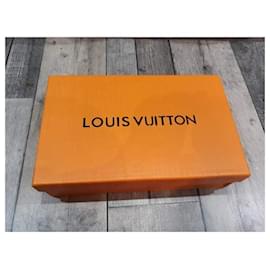 Louis Vuitton-Bolsa múltiple-Castaño