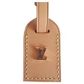 Louis Vuitton Purses, wallets, cases Light brown
