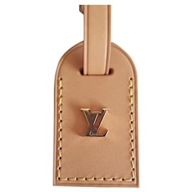 Louis Vuitton-Purses, wallets, cases-Light brown