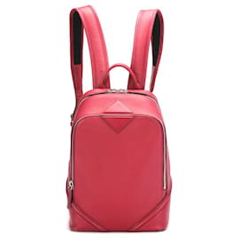 MCM Duc Rouge