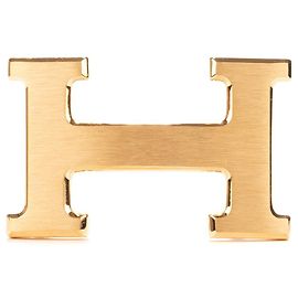 Splendid Hermès Constance Belt Buckle in matt brushed metal Golden