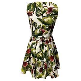 Dolce & Gabbana-Dolce & Gabbana Fig Poplin Mini Dress in Green Cotton-Other