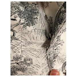 Dior-Toile de Jouy-print cropped jeans-Other