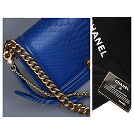 Chanel-Rare Limited Edition Boy Medium Python Flap Bag-Blue