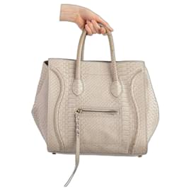 Céline-Borsa Céline-Grigio