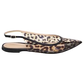 Gianvito Rossi-Gianvito Rossi Flache Schuhe mit Leopardenmuster und spitzer Zehenpartie aus mehrfarbigem PVC-Mehrfarben
