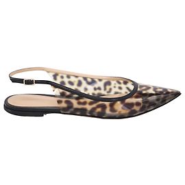 Gianvito Rossi Leopard Print Pointed Toe Flats in Multicolor PVC Multiple colors