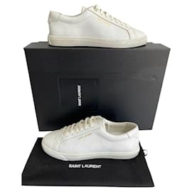 Saint Laurent-andy low sneakers in white leather-White