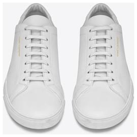 Saint Laurent-andy low sneakers in white leather-White