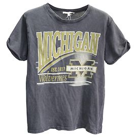 Camiseta Maje Michigan Retro de Algodón Gris Gris