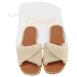 Chloé-Chloé Idol Embellished Shearling Slides In Brown Calf Leather  -Brown