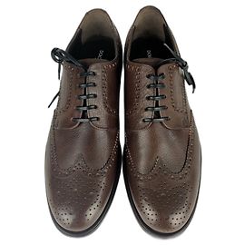 Dolce & Gabbana Derby Brogue shoes Brown