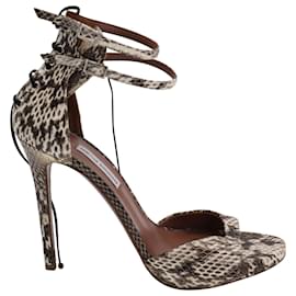 Tabitha Simmons-Tabitha Simmons Viva Snake-effect Ankle Heels in Multicolor Leather-Multiple colors
