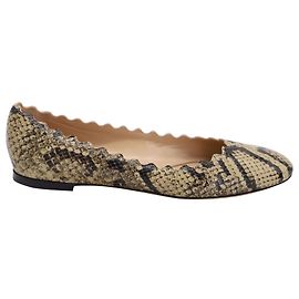 Ballerine Chloé Lauren in pelle di serpente Altro