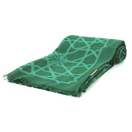 Pañuelo Loewe Verde