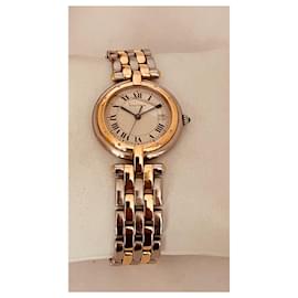 Cartier-Panther Gold and Steel-Golden