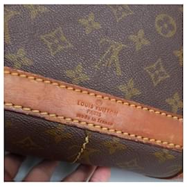 Louis Vuitton-Louis Vuitton Sac Chaussures Travel bag-Brown