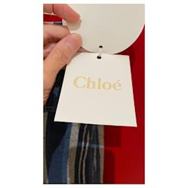 Chloé-die Röcke-Mehrfarben