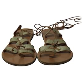 Ancient Greek Sandals-Antike griechische Sandalen Alcyone Sandalen aus braunem Leder-Braun