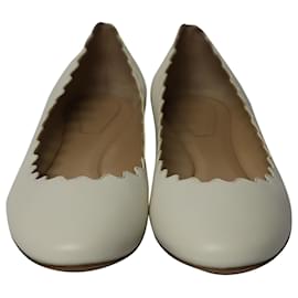 Femme Chaussures plates Chaussures plates Chloé Ballerines Lauren en cuir Cuir Chloé en coloris Blanc 