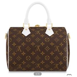 Louis Vuitton-LV Speedy Match 25-Brown