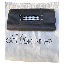 Clio Golbrenner Beautiful Clio Goldbrenner wallet Grey