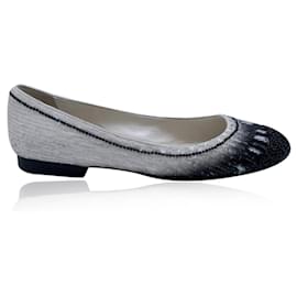 Chanel-Black and White Sequinned Ballet Flats Shoes Size 40-White