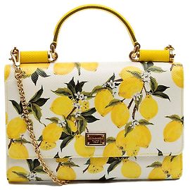 BOLSA Dolce & Gabbana Otro