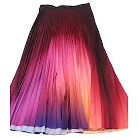Mary Katrantzou-Mary Katrantzou Ombré Pleated Skirt in Multicolor Polyester-Multiple colors