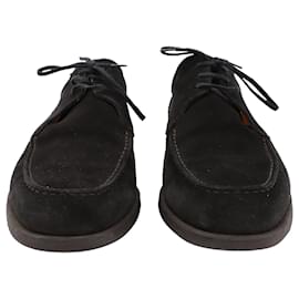Tod's-Tod's Chukka Boots in Black Suede-Black